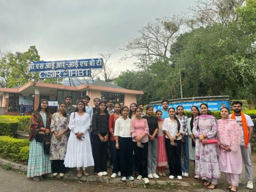 492152829 1176504410941840 7823071659552727064 n